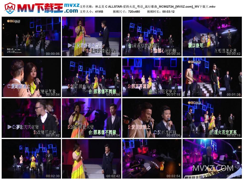 林志美 C ALLSTAR-爱的火花_粤语_流行歌曲_MC902724